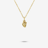 Mini Anatomical Heart Pendant Necklace