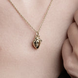 Anatomical Heart Pendant