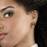 Cavalier King Charles Spaniel Hoops