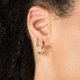 T-Rex Hoops